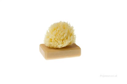 Obrázok pre výrobcu Morská huba Honeycombe - malá bielená