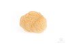 masáž morská huba prírodná hodvábna stredná bielená hubka špongia umývanie sprcha sprchy detská pokožka citlivá deti 